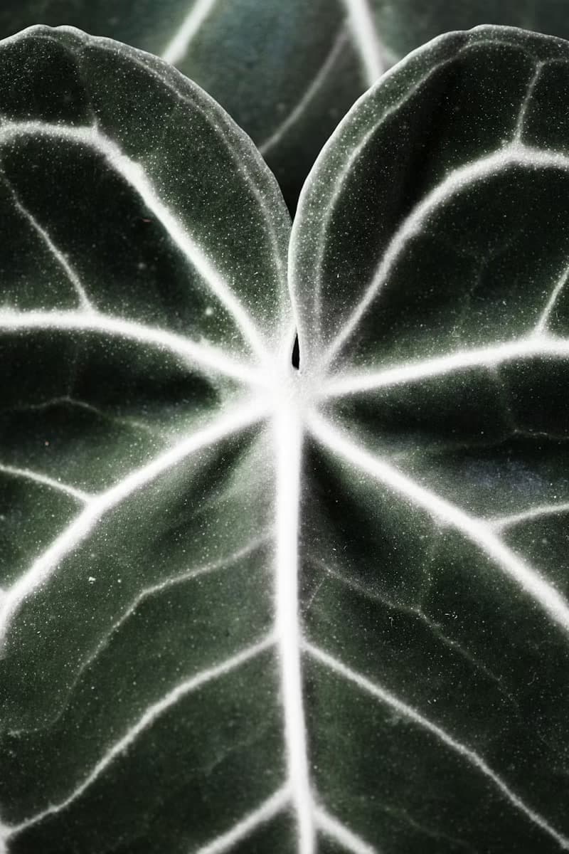 Deliberative Technologies in Polarized Contexts preview